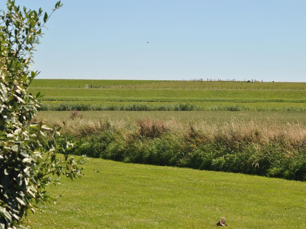Charming Holiday Home In Texel Near Sea Oost  ภายนอก รูปภาพ