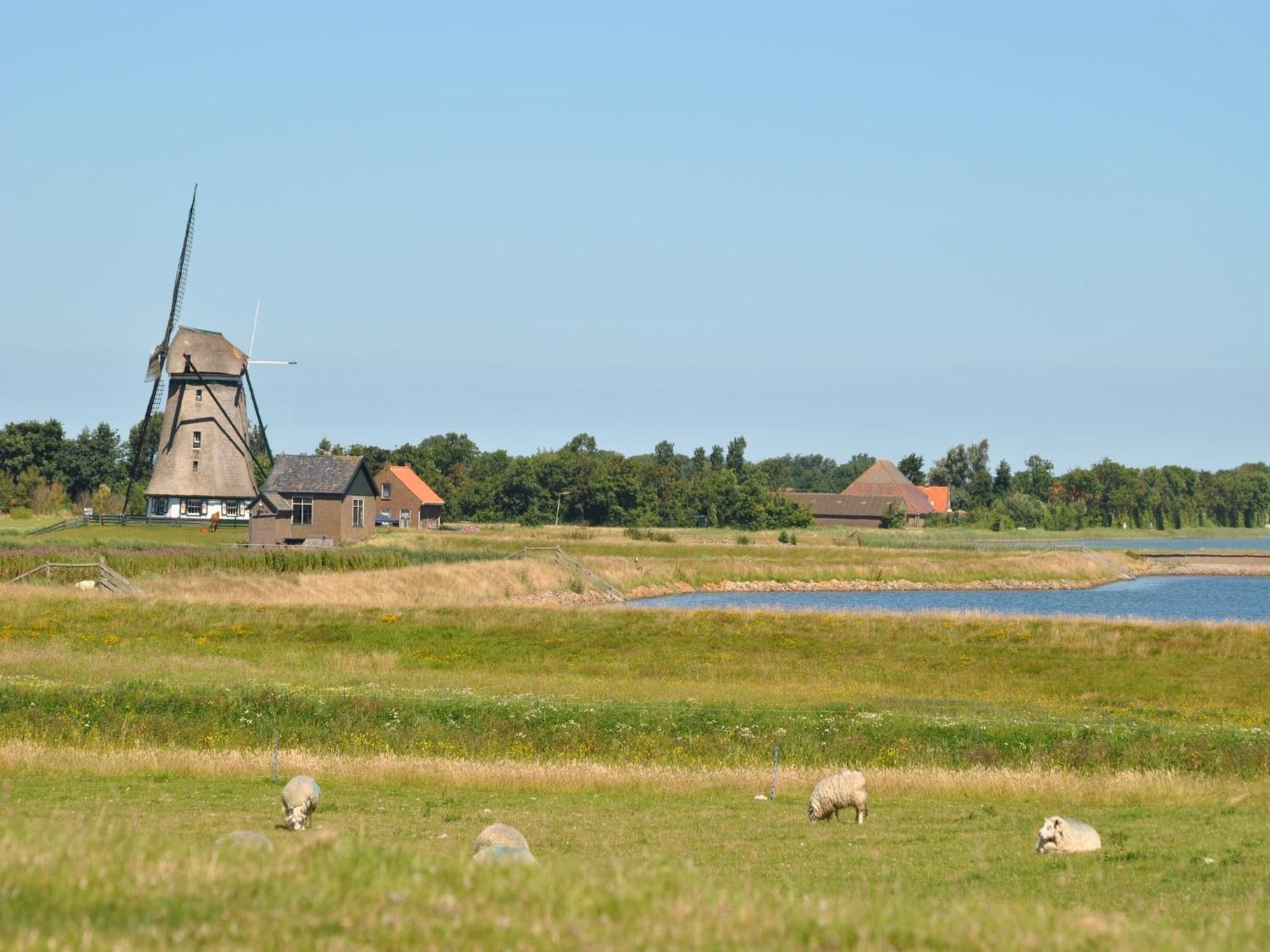 Charming Holiday Home In Texel Near Sea Oost  ภายนอก รูปภาพ